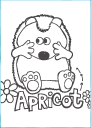 Apricot activity pack